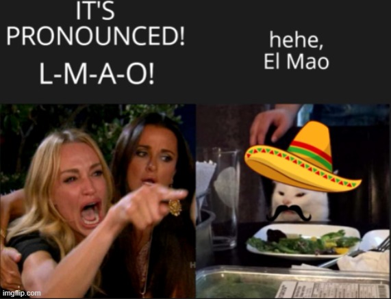 hehe el-mao | image tagged in lmao,funny,fun,memes,mexican,funny memes | made w/ Imgflip meme maker