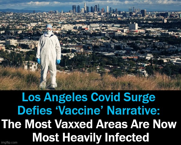 Ireland also defied the accepted vaccine narrative having had its worst spike w/ 93% adult jab levels achieved... | Los Angeles Covid Surge 
Defies ‘Vaccine’ Narrative:; The Most Vaxxed Areas Are Now 
Most Heavily Infected | image tagged in politics,pandemic or plandemic,jab not working,or working too well,you decide,covid jab | made w/ Imgflip meme maker