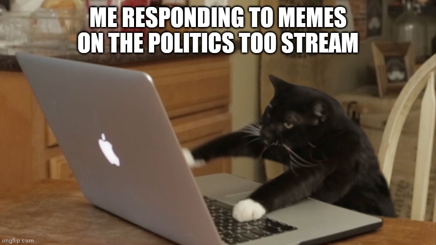 Furiously Typing Cat | ME RESPONDING TO MEMES ON THE POLITICS TOO STREAM | image tagged in furiously typing cat | made w/ Imgflip meme maker