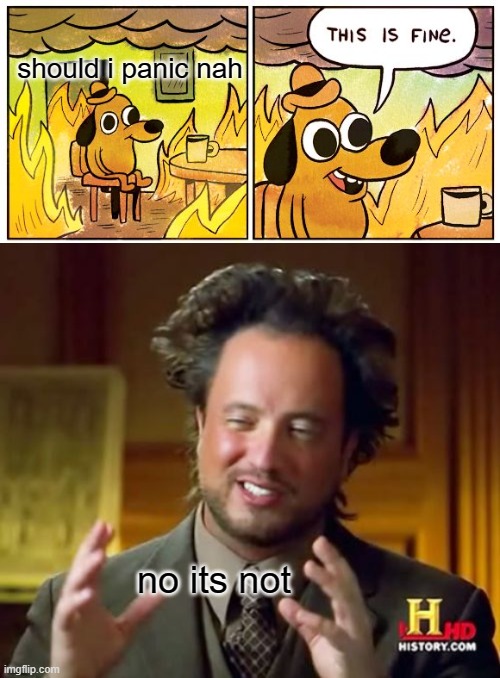 fire is nice i suppose | should i panic nah; no its not | image tagged in memes,this is fine,ancient aliens | made w/ Imgflip meme maker