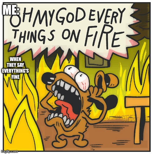 THIS IS NOT FINE | ME:; WHEN THEY SAY EVERYTHING'S FINE | image tagged in memes,this is not fine | made w/ Imgflip meme maker