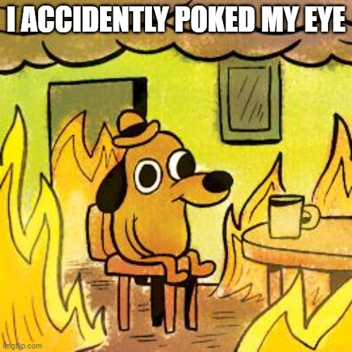 It's fine, only some burning eye pain | I ACCIDENTLY POKED MY EYE | image tagged in dog in burning house | made w/ Imgflip meme maker