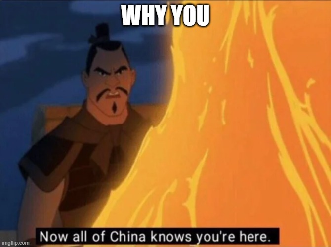 Now all of China knows you're here | WHY YOU | image tagged in now all of china knows you're here | made w/ Imgflip meme maker