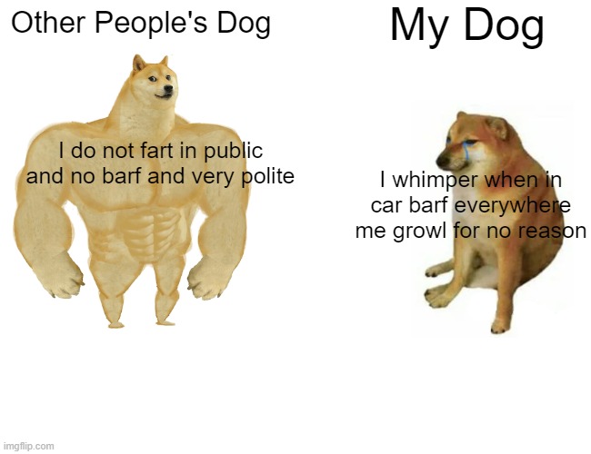 Buff Doge vs. Cheems | My Dog; Other People's Dog; I do not fart in public and no barf and very polite; I whimper when in car barf everywhere me growl for no reason | image tagged in memes,buff doge vs cheems | made w/ Imgflip meme maker
