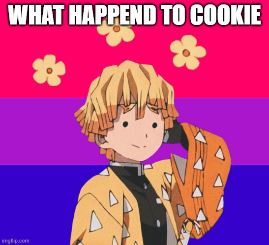 DF | WHAT HAPPEND TO COOKIE | image tagged in df | made w/ Imgflip meme maker