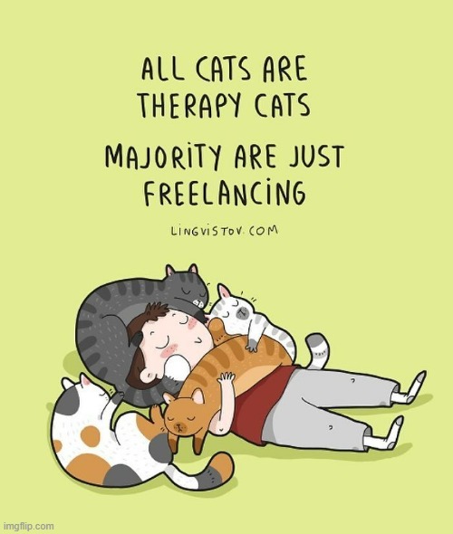 A Cat Person's Way Of Thinking | image tagged in memes,comics,cats,therapy,look at all these,independent | made w/ Imgflip meme maker