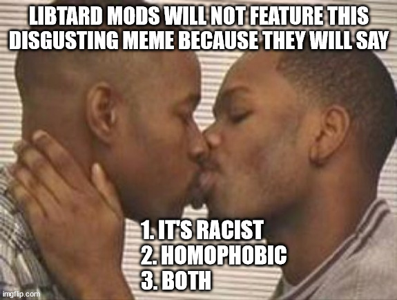 Politics Libtard Mods | LIBTARD MODS WILL NOT FEATURE THIS DISGUSTING MEME BECAUSE THEY WILL SAY; 1. IT'S RACIST
2. HOMOPHOBIC
3. BOTH | image tagged in 2 gay black mens kissing | made w/ Imgflip meme maker