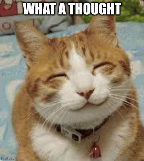 Happy cat | WHAT A THOUGHT | image tagged in happy cat | made w/ Imgflip meme maker