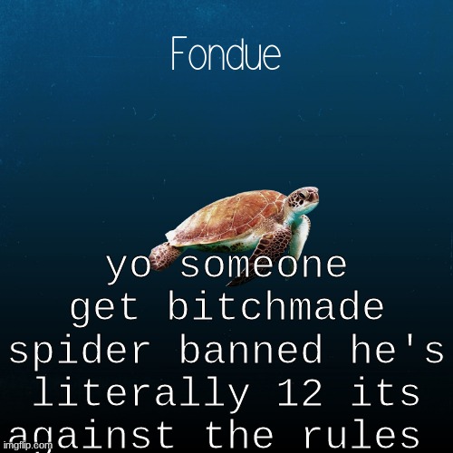 turtle template-Fondue | yo someone get bitchmade spider banned he's literally 12 its against the rules | image tagged in turtle template-fondue | made w/ Imgflip meme maker