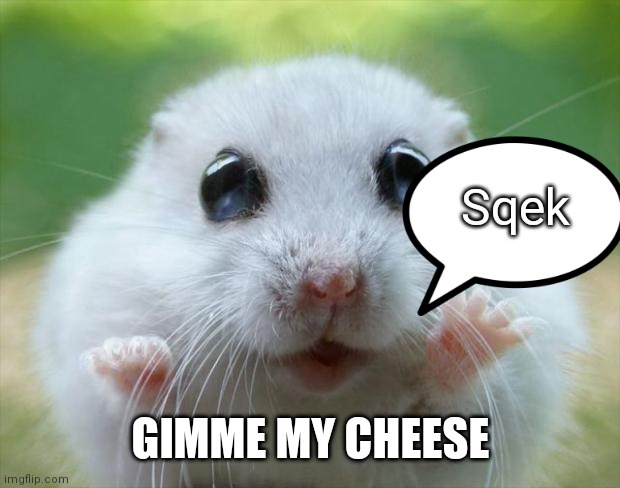 Hamster cute | Sqek; GIMME MY CHEESE | image tagged in hamster cute | made w/ Imgflip meme maker