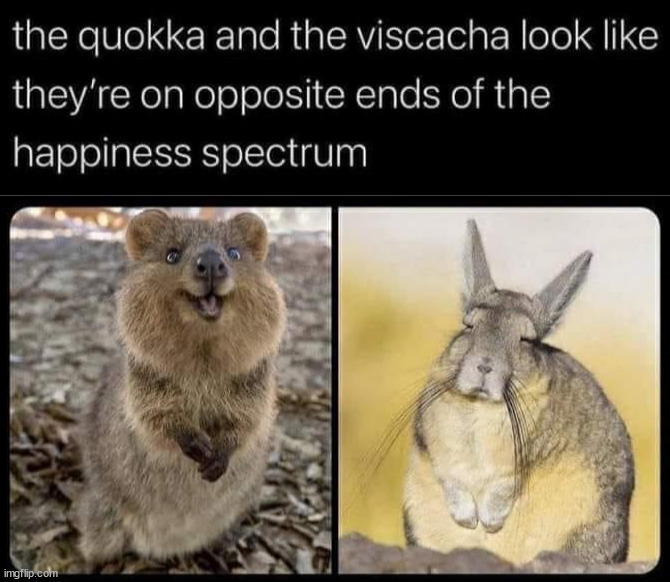image tagged in repost | made w/ Imgflip meme maker