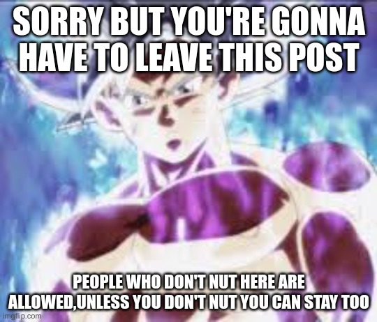 Goku Mui | SORRY BUT YOU'RE GONNA HAVE TO LEAVE THIS POST PEOPLE WHO DON'T NUT HERE ARE ALLOWED,UNLESS YOU DON'T NUT YOU CAN STAY TOO | image tagged in goku mui | made w/ Imgflip meme maker