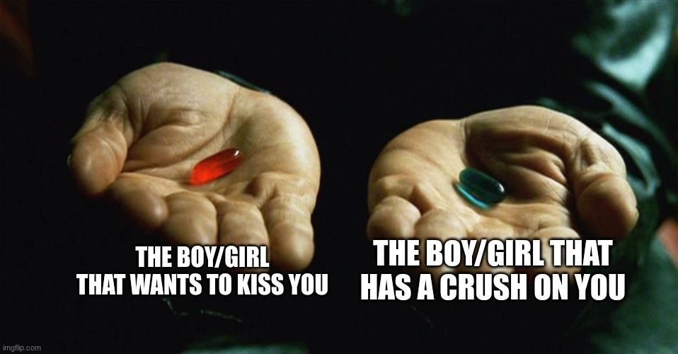 Careful | THE BOY/GIRL THAT WANTS TO KISS YOU; THE BOY/GIRL THAT HAS A CRUSH ON YOU | image tagged in red pill blue pill | made w/ Imgflip meme maker