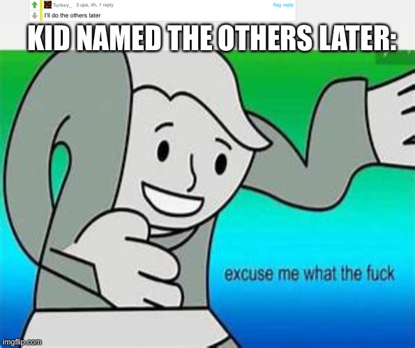 KID NAMED THE OTHERS LATER: | image tagged in excuse me what the fu- | made w/ Imgflip meme maker