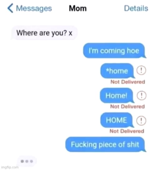 R.I.P. | image tagged in mom,texting,typo,memes,funny,phone | made w/ Imgflip meme maker