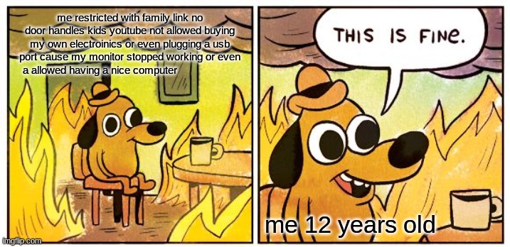 This Is Fine | me restricted with family link no door handles kids youtube not allowed buying my own electroinics or even plugging a usb port cause my monitor stopped working or even a allowed having a nice computer; me 12 years old | image tagged in memes,this is fine | made w/ Imgflip meme maker