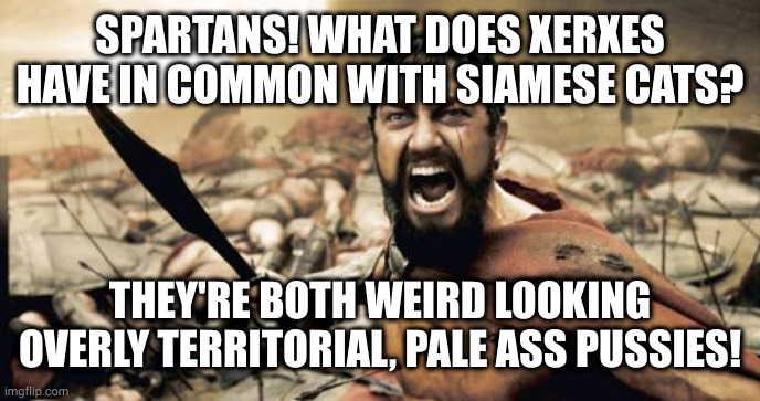 You forgot dickish. Xerxes must have been a hermaphrodite | SPARTANS! WHAT DOES XERXES HAVE IN COMMON WITH SIAMESE CATS? THEY'RE BOTH WEIRD LOOKING OVERLY TERRITORIAL, PALE ASS PUSSIES! | image tagged in memes,sparta leonidas | made w/ Imgflip meme maker