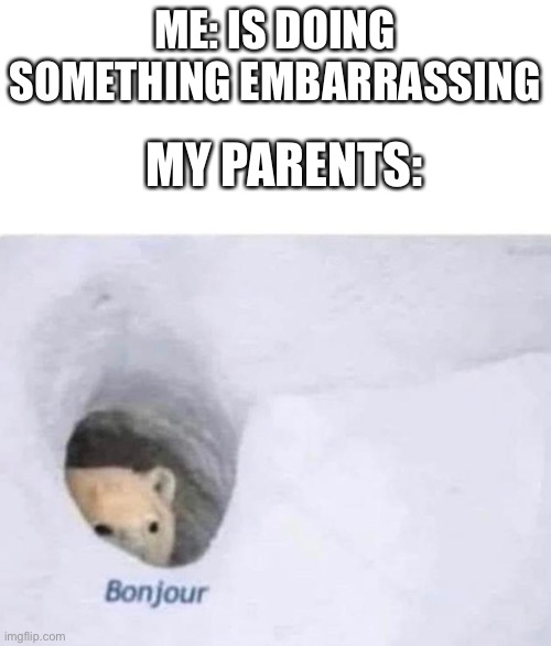 Why do they always walk in at the worst time | ME: IS DOING SOMETHING EMBARRASSING; MY PARENTS: | image tagged in bonjour | made w/ Imgflip meme maker