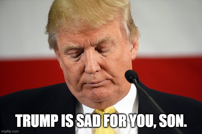 Trump is sad for you, son | TRUMP IS SAD FOR YOU, SON. | image tagged in sad trump,republican,crocodile tears,pardons,militia,insurrection | made w/ Imgflip meme maker