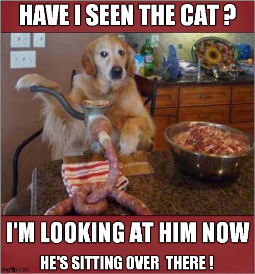 Cat Mincer Mystery ! | HAVE I SEEN THE CAT ? I'M LOOKING AT HIM NOW; HE'S SITTING OVER  THERE ! | image tagged in dogs,mincer,cats,disappeared | made w/ Imgflip meme maker