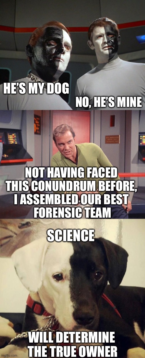 Obfuscating the Obvious | NO, HE’S MINE; HE’S MY DOG; NOT HAVING FACED 
THIS CONUNDRUM BEFORE, 
I ASSEMBLED OUR BEST 
FORENSIC TEAM; SCIENCE; WILL DETERMINE 
THE TRUE OWNER | image tagged in star trek,black and white,captain kirk,dog | made w/ Imgflip meme maker