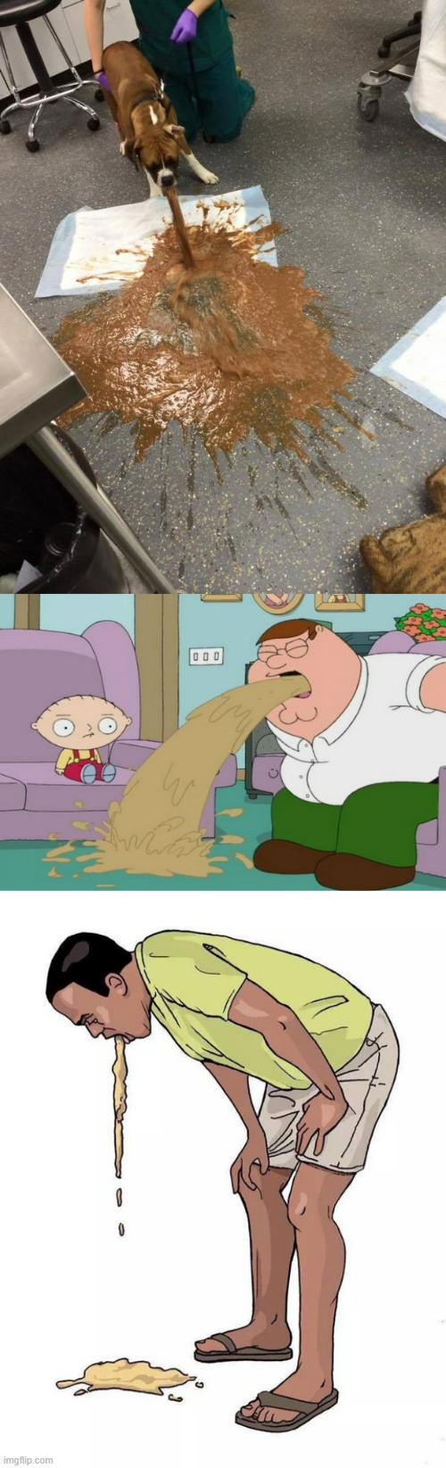 image tagged in dog vomit,peter griffin vomit,vomit | made w/ Imgflip meme maker