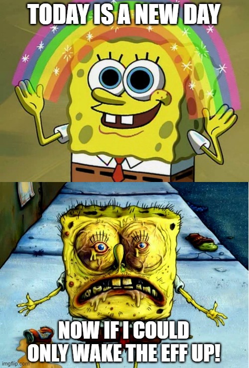 Go get 'em! Zzzzzz | TODAY IS A NEW DAY; NOW IF I COULD ONLY WAKE THE EFF UP! | image tagged in memes,imagination spongebob,ugly spongebob,wake up,new day | made w/ Imgflip meme maker