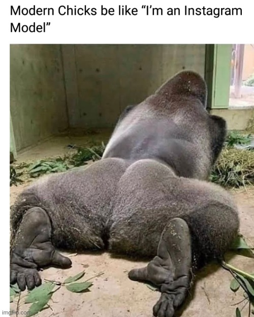 image tagged in funny memes | made w/ Imgflip meme maker