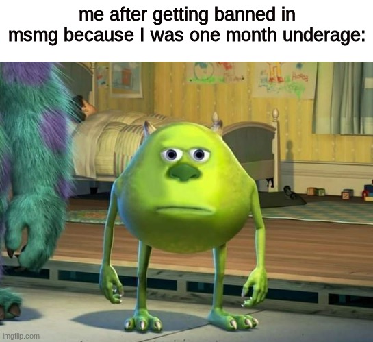BRUH | me after getting banned in msmg because I was one month underage: | image tagged in mike wazowski bruh,memes | made w/ Imgflip meme maker