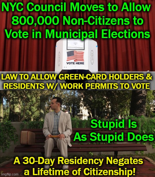 Past Time To Put The Adults Back in Charge! | NYC Council Moves to Allow 
800,000 Non-Citizens to
Vote in Municipal Elections; LAW TO ALLOW GREEN-CARD HOLDERS & 
RESIDENTS W/ WORK PERMITS TO VOTE; Stupid Is As Stupid Does; A 30-Day Residency Negates 
a Lifetime of Citizenship! | image tagged in politics,liberalism,liberals vs conservatives,americans,nyc | made w/ Imgflip meme maker