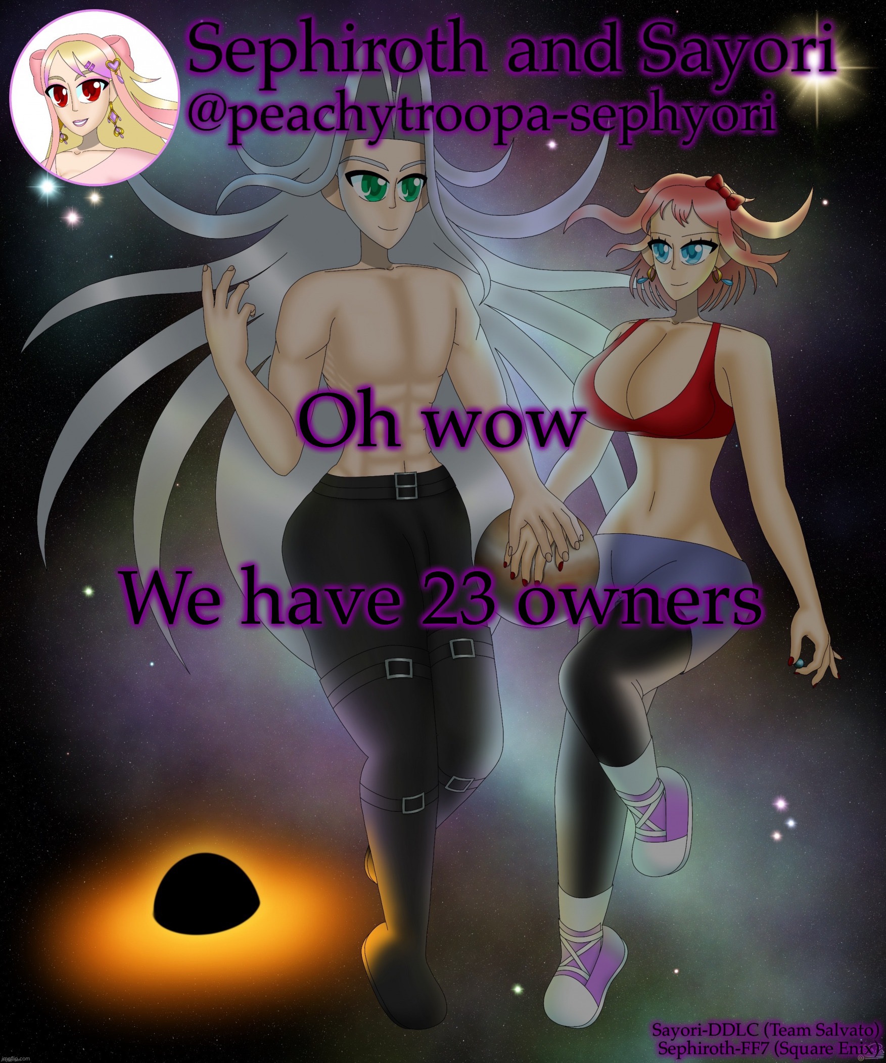 Also MSMG owners are weird | Oh wow; We have 23 owners | image tagged in sayori and sephiroth | made w/ Imgflip meme maker