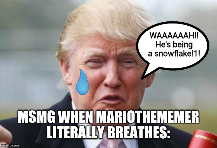 MSMG say that Mario is a snowflake yet they end up being snowflakes too. | WAAAAAAH!! He's being a snowflake!1! MSMG WHEN MARIOTHEMEMER LITERALLY BREATHES: | image tagged in trump crybaby | made w/ Imgflip meme maker