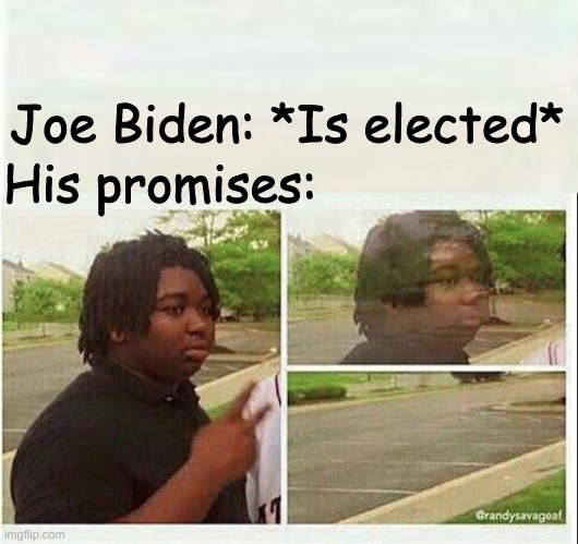 See ya | Joe Biden: *Is elected*; His promises: | image tagged in black guy disappearing | made w/ Imgflip meme maker