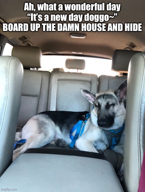 Sleepy boi | Ah, what a wonderful day
“It’s a new day doggo~”
BOARD UP THE DAMN HOUSE AND HIDE | image tagged in sleepy boi | made w/ Imgflip meme maker