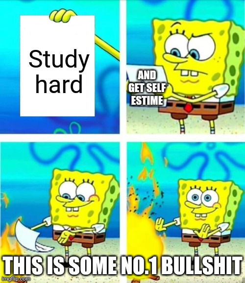 I never see the other side of the paper | Study hard; AND GET SELF ESTIME; THIS IS SOME NO.1 BULLSHIT | image tagged in spongebob putting paper in fire | made w/ Imgflip meme maker