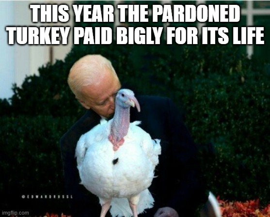  THIS YEAR THE PARDONED TURKEY PAID BIGLY FOR ITS LIFE | image tagged in biden,turkey,thanksgiving | made w/ Imgflip meme maker