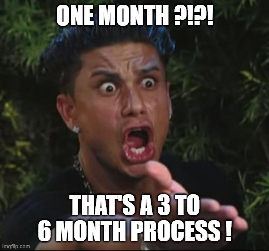 DJ Pauly D Meme | ONE MONTH ?!?! THAT'S A 3 TO 6 MONTH PROCESS ! | image tagged in memes,dj pauly d | made w/ Imgflip meme maker