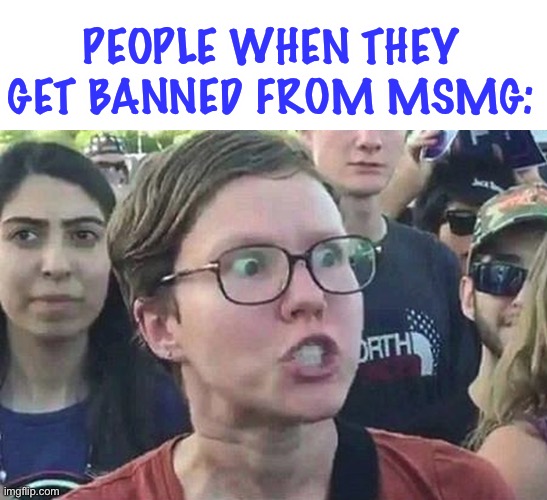 LOL | PEOPLE WHEN THEY GET BANNED FROM MSMG: | image tagged in triggered liberal | made w/ Imgflip meme maker