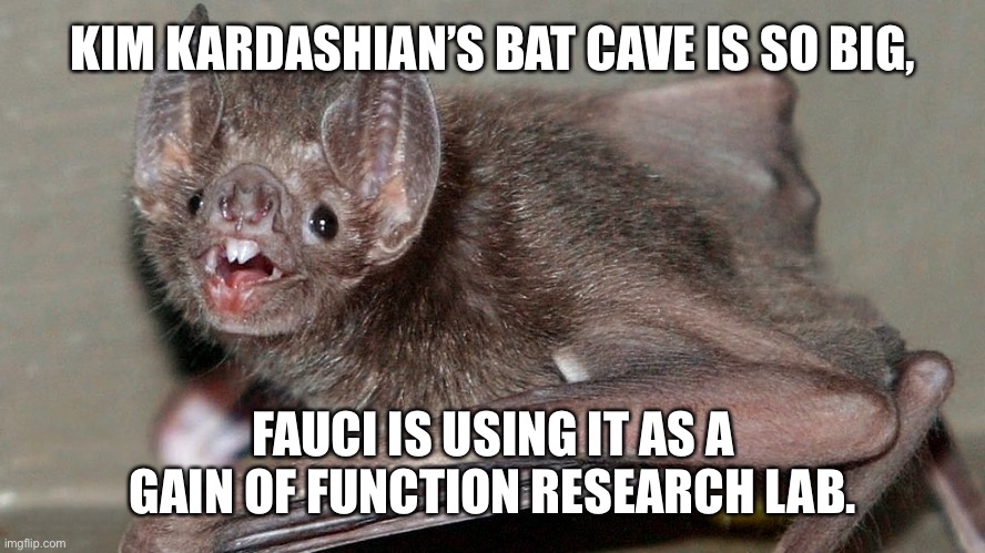 Bat | KIM KARDASHIAN’S BAT CAVE IS SO BIG, FAUCI IS USING IT AS A GAIN OF FUNCTION RESEARCH LAB. | image tagged in bat | made w/ Imgflip meme maker