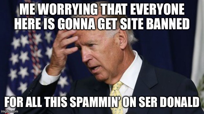 lol | ME WORRYING THAT EVERYONE HERE IS GONNA GET SITE BANNED; FOR ALL THIS SPAMMIN’ ON SER DONALD | image tagged in joe biden worries | made w/ Imgflip meme maker