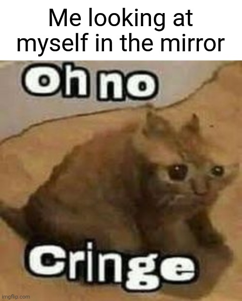 Anyone else relate? |  Me looking at myself in the mirror | image tagged in oh no cringe,memes,funny,sad,relatable | made w/ Imgflip meme maker