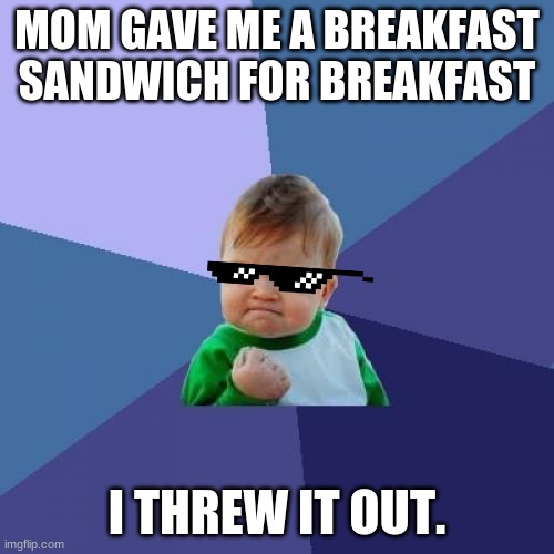 breakfast | MOM GAVE ME A BREAKFAST SANDWICH FOR BREAKFAST; I THREW IT OUT. | image tagged in memes,success kid | made w/ Imgflip meme maker