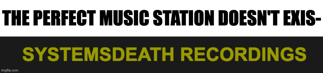 THE PERFECT MUSIC STATION DOESN'T EXIS- | image tagged in funny,memes,relatable,memenade,fun,music | made w/ Imgflip meme maker