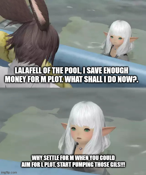 Lalafell of the Pool | LALAFELL OF THE POOL, I SAVE ENOUGH MONEY FOR M PLOT. WHAT SHALL I DO NOW?. WHY SETTLE FOR M WHEN YOU COULD AIM FOR L PLOT. START PUMPING THOSE GILS!!! | image tagged in lalafell of the pool | made w/ Imgflip meme maker