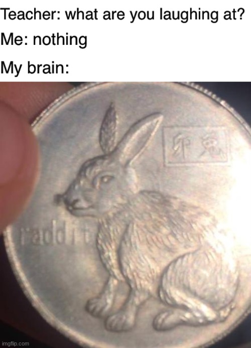 My brain is a strange place | image tagged in teacher what are you laughing at,rabbit | made w/ Imgflip meme maker