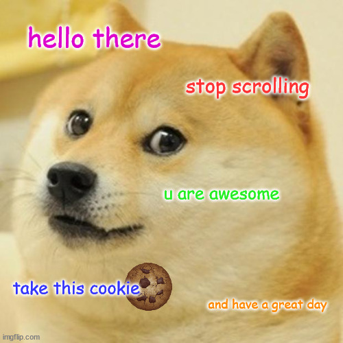 Title | hello there; stop scrolling; u are awesome; take this cookie; and have a great day | image tagged in memes,doge | made w/ Imgflip meme maker