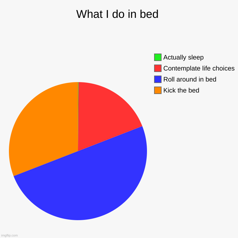 What I do in bed | What I do in bed | Kick the bed, Roll around in bed, Contemplate life choices, Actually sleep | image tagged in charts,pie charts | made w/ Imgflip chart maker