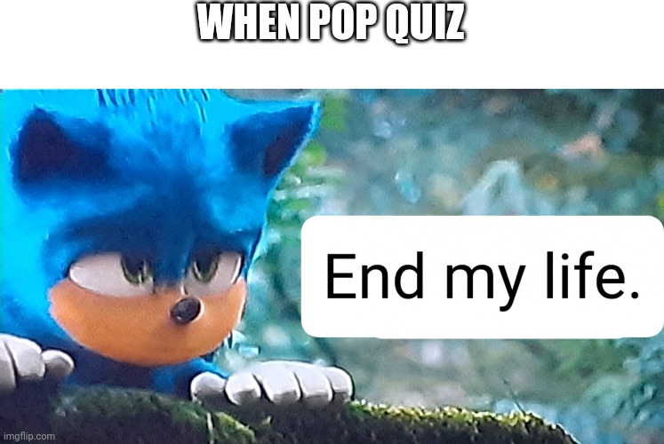 Sonic doesn't want to live | WHEN POP QUIZ | image tagged in sonic doesn't want to live | made w/ Imgflip meme maker