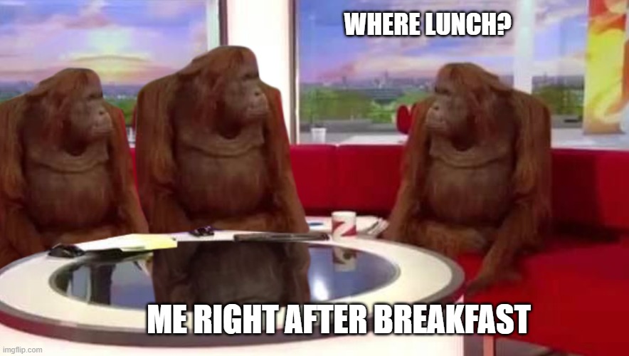 where monkey | WHERE LUNCH? ME RIGHT AFTER BREAKFAST | image tagged in where monkey | made w/ Imgflip meme maker