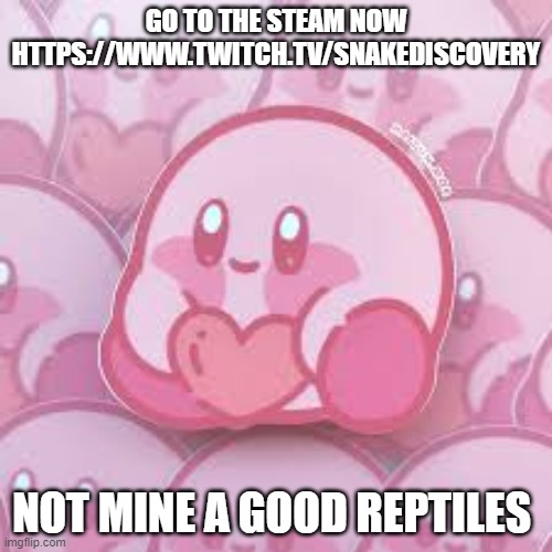 https://www.twitch.tv/snakediscovery | GO TO THE STEAM NOW HTTPS://WWW.TWITCH.TV/SNAKEDISCOVERY; NOT MINE A GOOD REPTILES | image tagged in love kirb | made w/ Imgflip meme maker